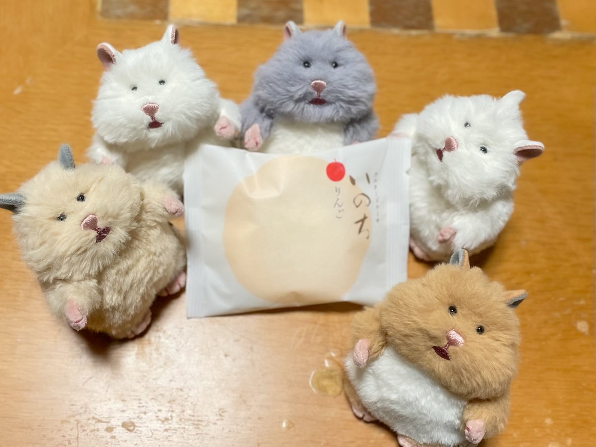 Hiyoconui's tweet photo. おやつ  みんなで  たべよ  #ぬい活  #ぬい撮り #はむにぎり https://t.co/ictGvjfPaT