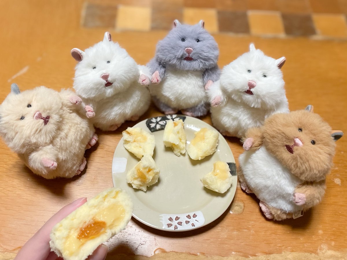 Hiyoconui's tweet photo. おやつ  みんなで  たべよ  #ぬい活  #ぬい撮り #はむにぎり https://t.co/ictGvjfPaT