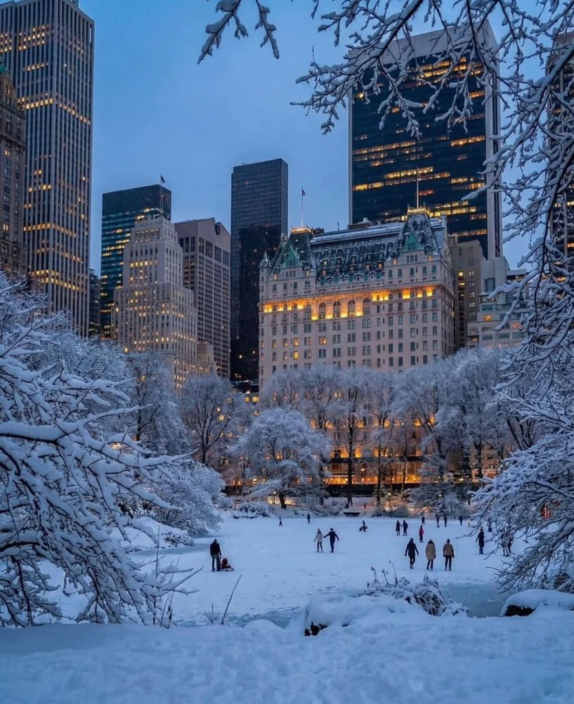 earthserenityy's tweet photo. Central Park New York https://t.co/5ptzHjOgnY