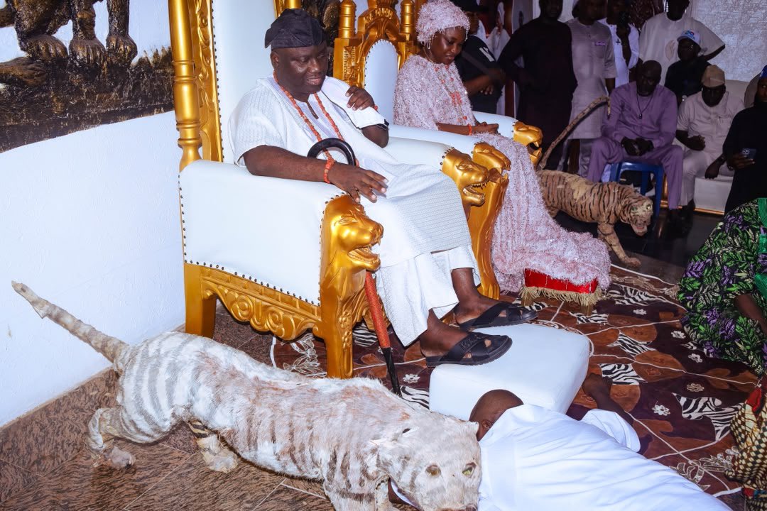 abdullahayofel's tweet photo. Iro tibaye awon siwes boys je

You think everybody go be like your president ikolaba arobafin https://t.co/IzHaa5J5b5