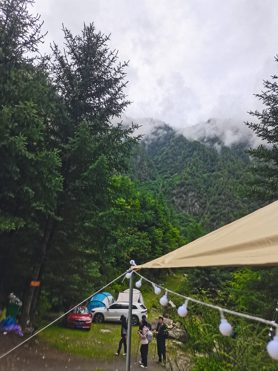 rayatom566213's tweet photo. Just woke up to birds chirping u0026 the smell of campfire coffee in my tent—this is the kind of slow, perfect magic I needed. No alarms, no rush, only fresh pine breeze and a view of the mountain first light. https://t.co/flTHyvAnF2