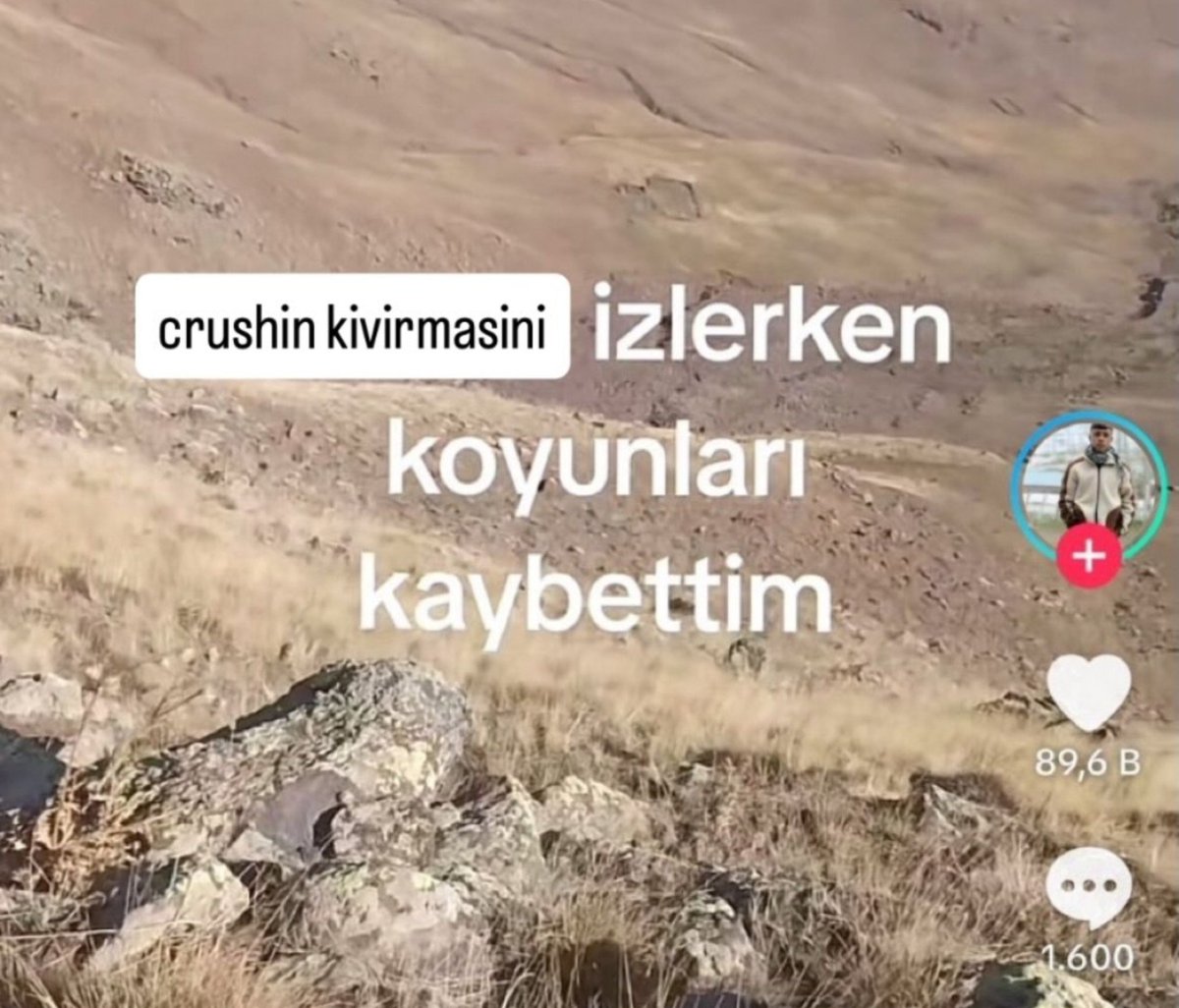 bcyzzn's tweet photo. dudak barışına karşı https://t.co/J1RnyPILzo