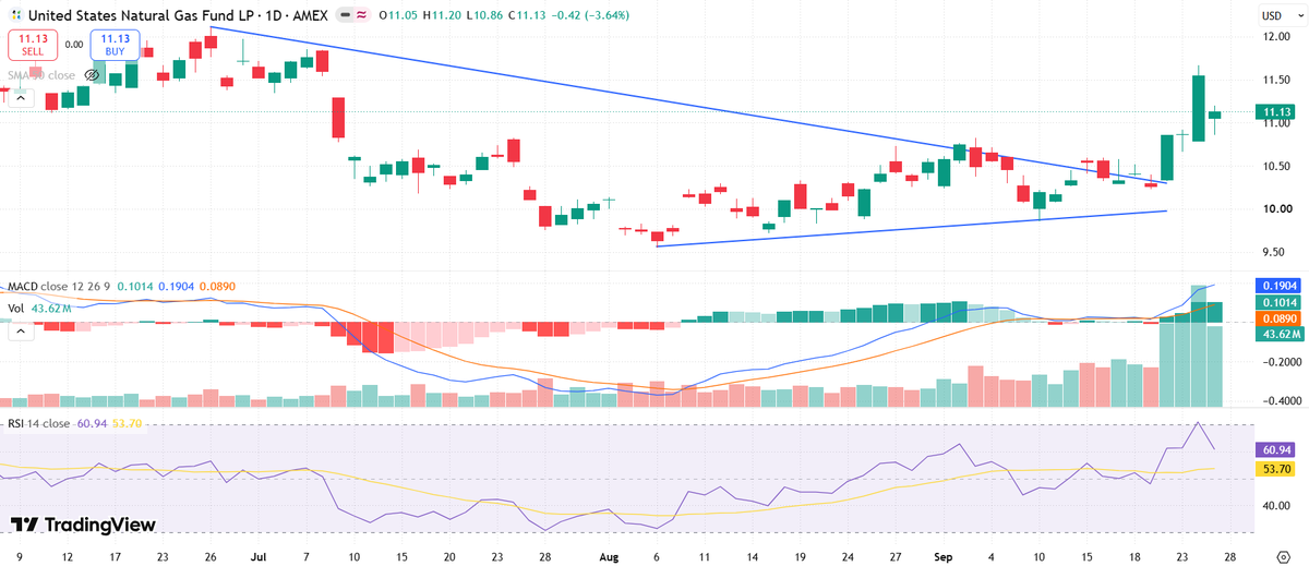 StocksSignalsAI's tweet photo. $UNG  US Natural Gas ETF pulling back, forming a higher low post symmetrical triangle breakout https://t.co/2qq4lAbVSW