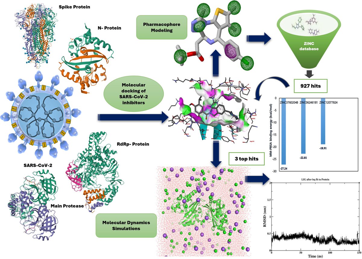Bkcs_Official's tweet photo. Computational insights into SARS-CoV-2 inhibition
Vuppala, Kim, Zhao & Jang use molecular dynamics and MM-PBSA analyses to investigate structural and energetic features underlying SARS-CoV-2 nucleocapsid protein inhibition.
#SARSCoV2 #MolecularDynamics https://t.co/aVHVZ5sL4Y https://t.co/h56Z8k94Q2