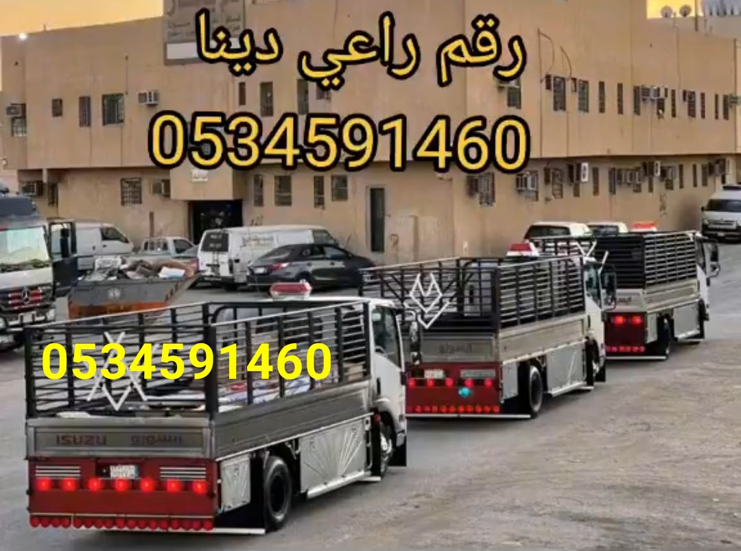 azmia_ali's tweet photo. #دينا #تشيل #اثاث #مستعمل غرب الرياض 0َ534591460
نقل اثاث الى جمعية خيرية غرب الرياض يستقبلون اثاث مستعمل بالرياض دينات تحميل أغراض لجمعيات خيرية بغرب الرياض حي عرقة حي المهدية حي الأحمدية حي العريجاء حي ظهرة لبن حي ضاحية لبن حي طويق حي السويدي جمعية خيرية غرب الرياض
#مساء_الخـير https://t.co/GwqX29YR7p