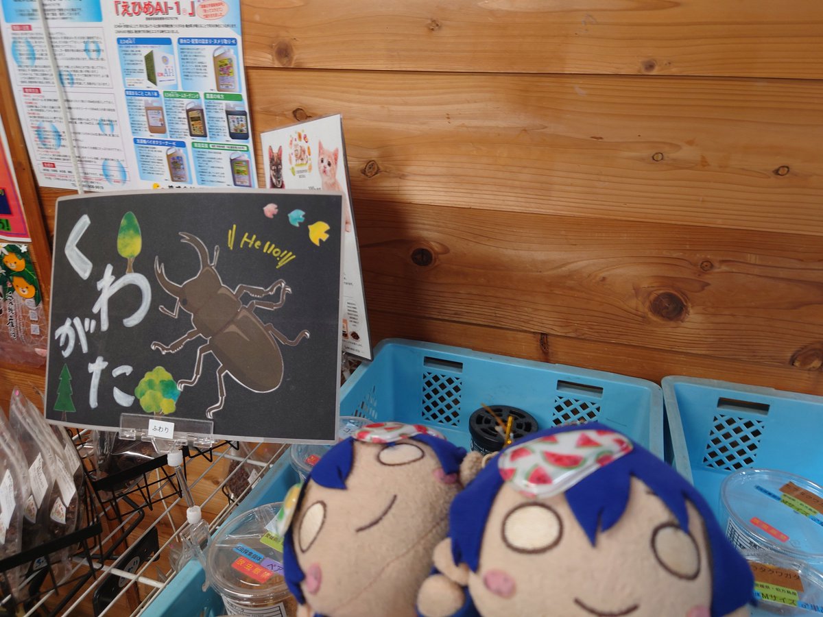 umc0315's tweet photo. (꒪ᴗ꒪)の大好物、くわがた(꒪᷄ᴗ꒪᷅)
とにかく美味いのだとか( ꒪ᴗ꒪ ) https://t.co/lcQKVMGg8f