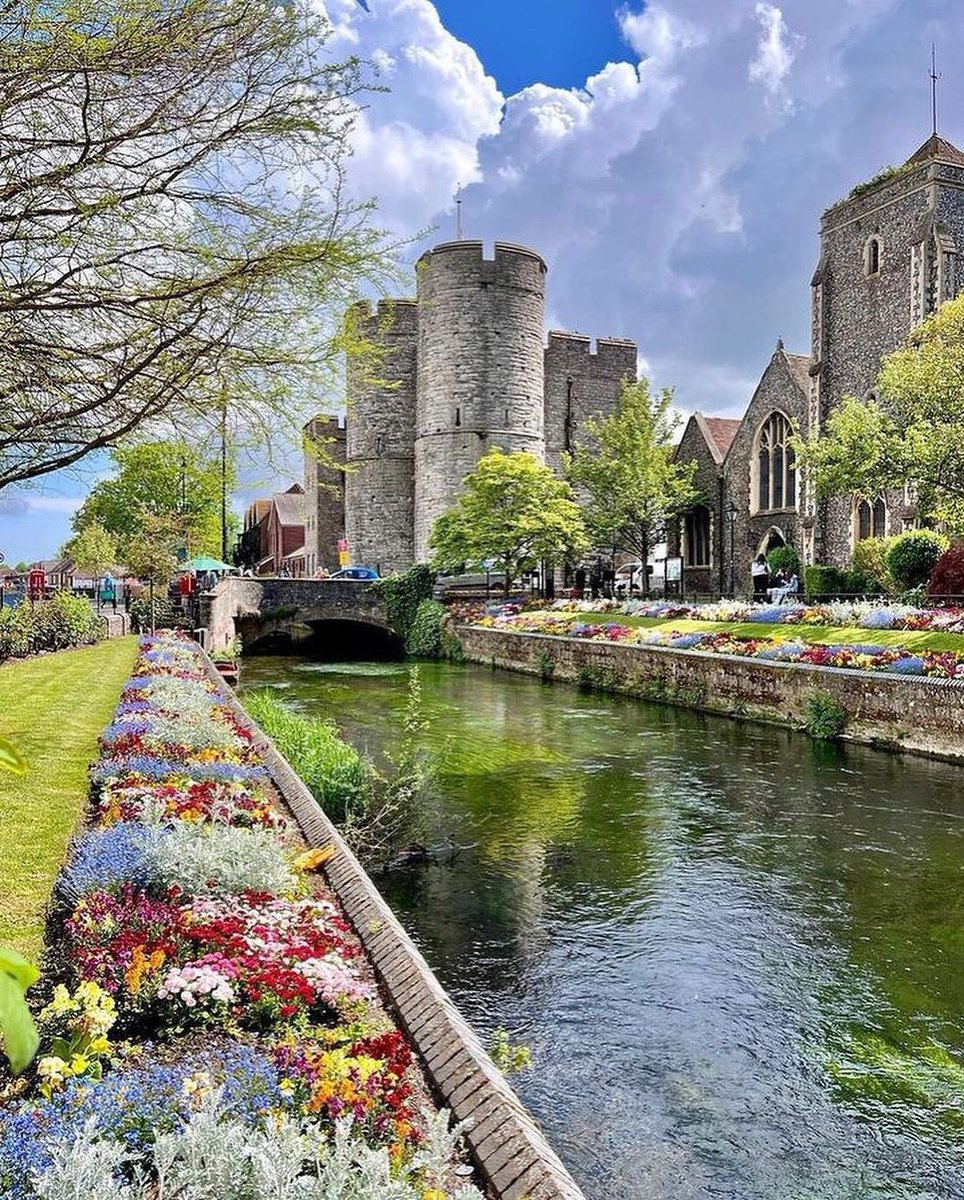 WildscapeWonder's tweet photo. Canterbury Kent UK 🇬🇧 https://t.co/dhJ3RsrwCT