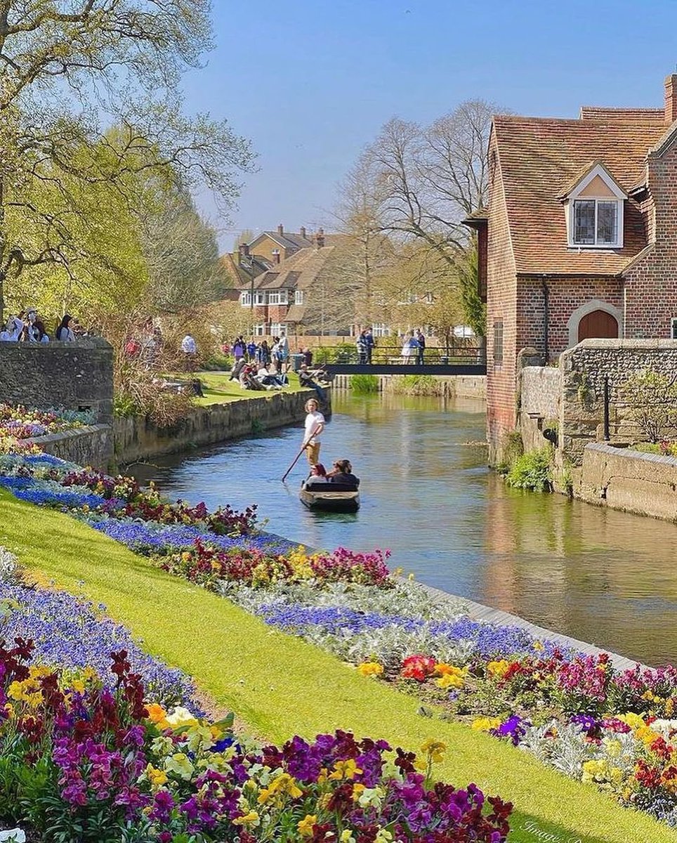 WildscapeWonder's tweet photo. Canterbury Kent UK 🇬🇧 https://t.co/dhJ3RsrwCT