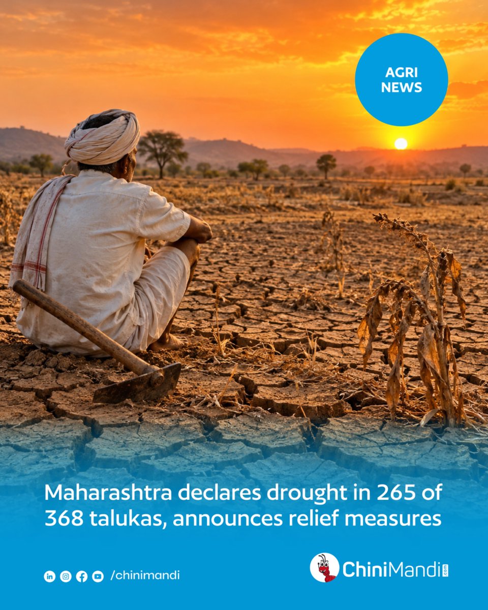 ChiniMandi's tweet photo. Maharashtra declares drought in 265 talukas as crop loss assessment begins.

The Maharashtra government has declared drought in 265 of the state’s 368 talukas after they met the prescribed criteria under Trigger-1 of the state’s drought assessment framework.

Through a Government Resolution issued on Saturday, the government has directed district collectors to conduct panchnamas to assess crop losses in the affected areas.

Read the full article here🔗
https://t.co/nd4vHkPZMg

#ChiniMandi #ChiniMandiUpdates #DroughtRelief #MaharashtraFarmers #AgricultureNews