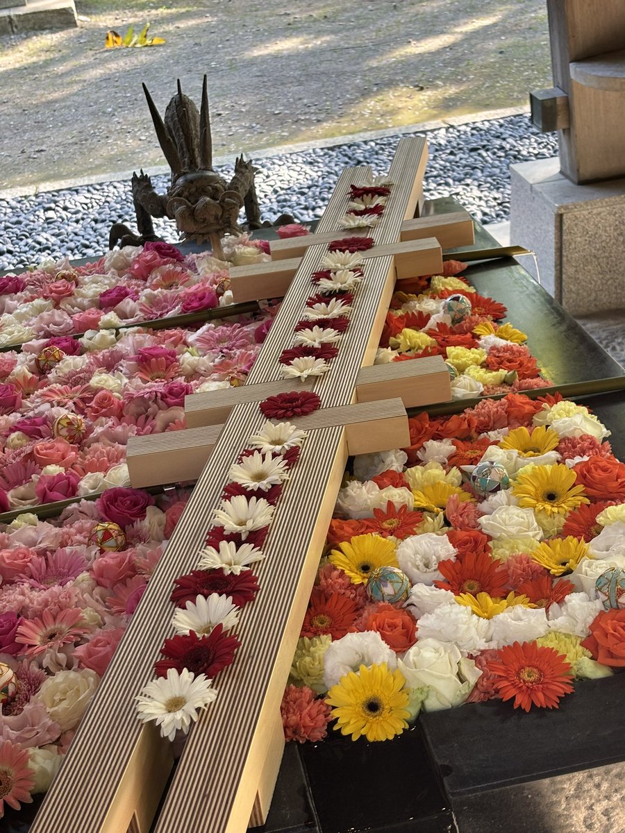 candt_c's tweet photo. よ〜やく行けました(*˘︶˘*).｡.:*♡
花手水🌼🌺🌸とっても綺麗でした。
硝子のヨーヨーが夏の名残りがありました。
癒やされた時間を過ごせました。 https://t.co/ms2hX4JfaQ