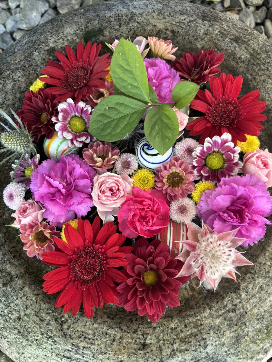 candt_c's tweet photo. よ〜やく行けました(*˘︶˘*).｡.:*♡
花手水🌼🌺🌸とっても綺麗でした。
硝子のヨーヨーが夏の名残りがありました。
癒やされた時間を過ごせました。 https://t.co/ms2hX4JfaQ