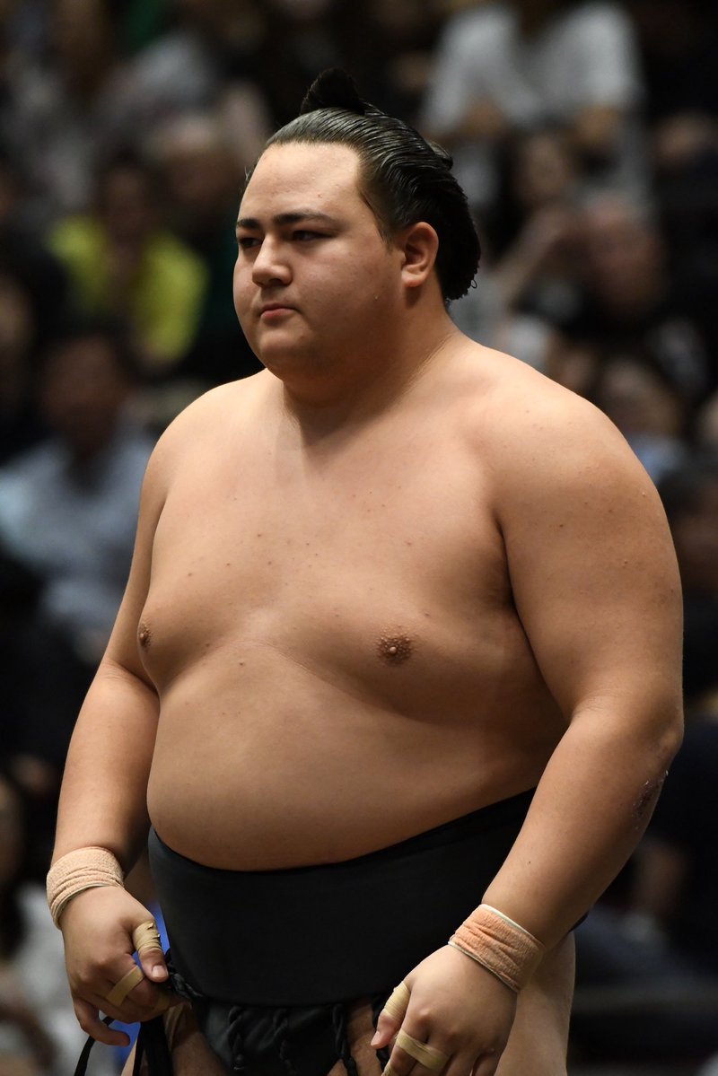 sumochankolove's tweet photo. 【2026年9月22日・九月場所（両国）】
丹治関。
今場所相撲を観に行って新たにファンになりました。
20歳とは思えない落ち着きぶり、たたずまい、応援したくなる���力に溢れている👏

#丹治
#sumo
#相撲
#大相撲
#九月場所 
#両国国技館 https://t.co/1zUBSh324c