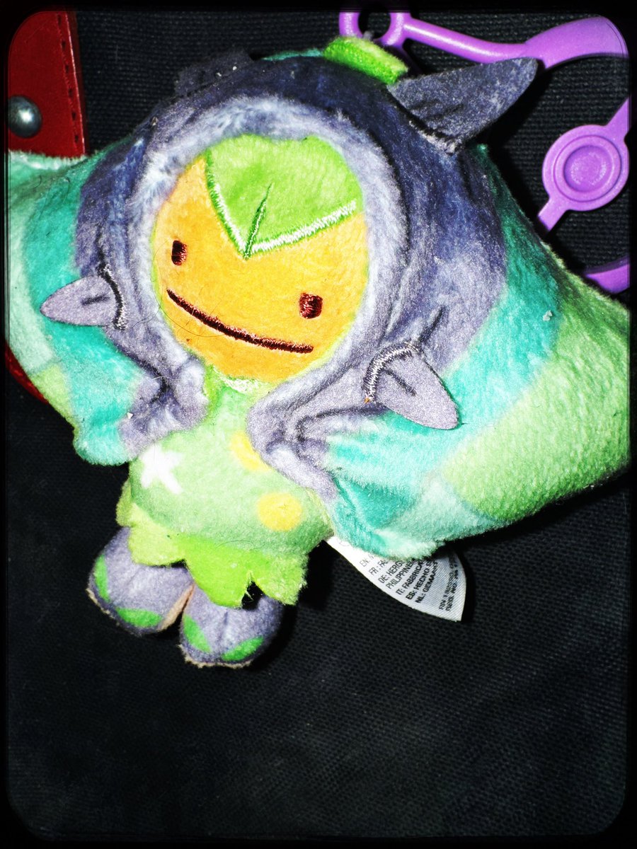 ham_ham101's tweet photo. 推しポケモン登場でワイﾆｯｺﾘや‼︎
このタイミングでへんしん!メタモンシリーズ販売してたらGET出来なかったかもなぁ

#ポケモン
#アニポケ https://t.co/SaMYxbXfj6