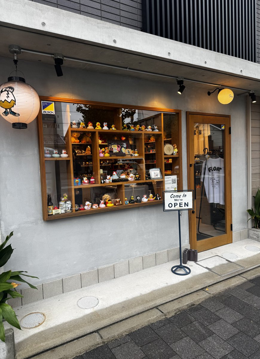 PTA_tossan's tweet photo. 京都へ行ったついでに、前から気になってたアヒルトイ専門店のDucksへ。

軽く覗くだけのつもりだったけど…🤦🏻‍♀️ https://t.co/JrxQKVddWs