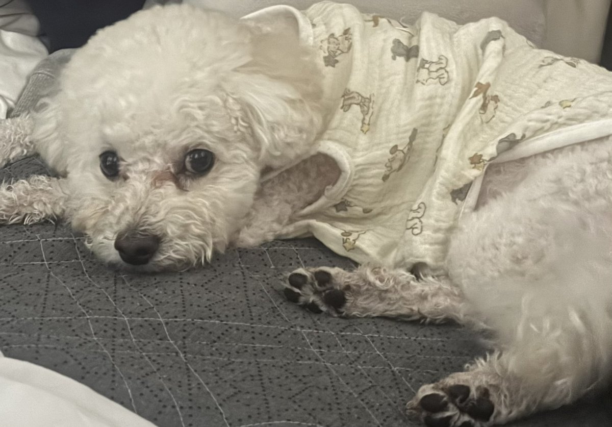 _sungkook's tweet photo. https://t.co/Vv7M83iU0I