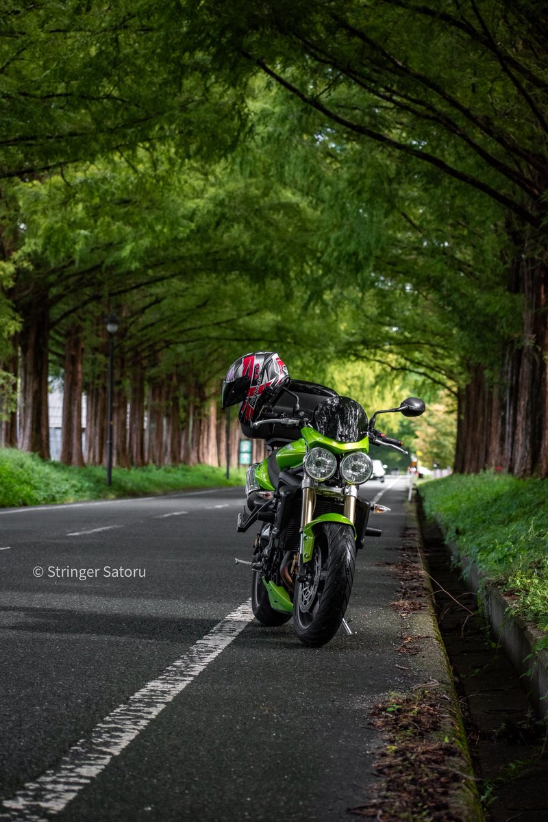 Go_77sKYOTO's tweet photo. 琵琶湖ツーリング
早朝のメタセコイヤ並木。

このバイク譲ってもらった
前オーナーさんに見せたら
すこぶる喜んでくれた。 https://t.co/AMooqu6lHw