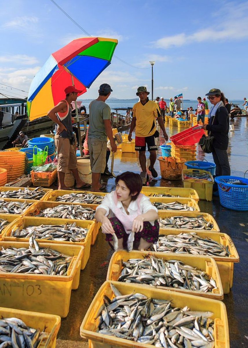 keonhoimupp's tweet photo. penjual ikan                    yang mau beli https://t.co/LeuHSKQuLh