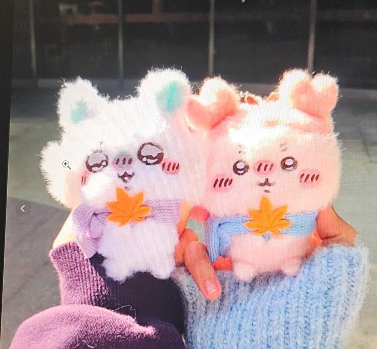 kanimom0829's tweet photo. 미니소 가을 컨셉 카니가 정말 예쁜 거 다들 알고 계신가요... 
미니소는 접하기도 쉽고 가격도 그나마 저렴한데 생긴 것도 너무 이쁘고 요즘 날씨에 딱임...
왼쪽 사진은 시엔위에서 누군가 올린 사진인데 저거 보고 첫눈에 반해서 친구한테 부탁해서 홍대 미니소에서 겟했어요... https://t.co/czBtKDohu6