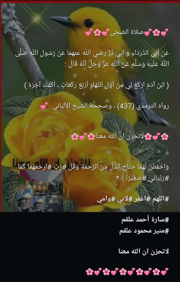 LT7zan's tweet photo. https://t.co/x0VZ313AG4