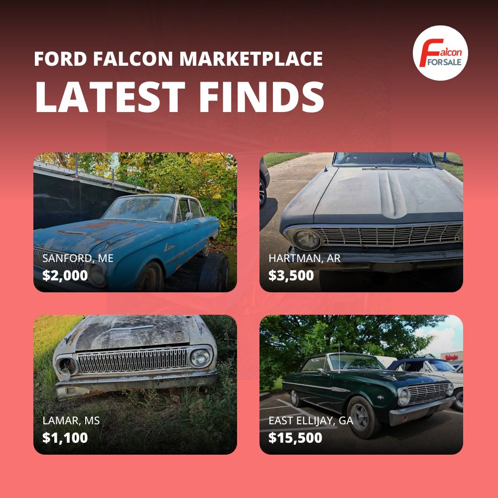 falconforsale's tweet photo. Check out new listings shared daily! Visit https://t.co/of1eeiZ9Ag https://t.co/x3P5l5SMNj