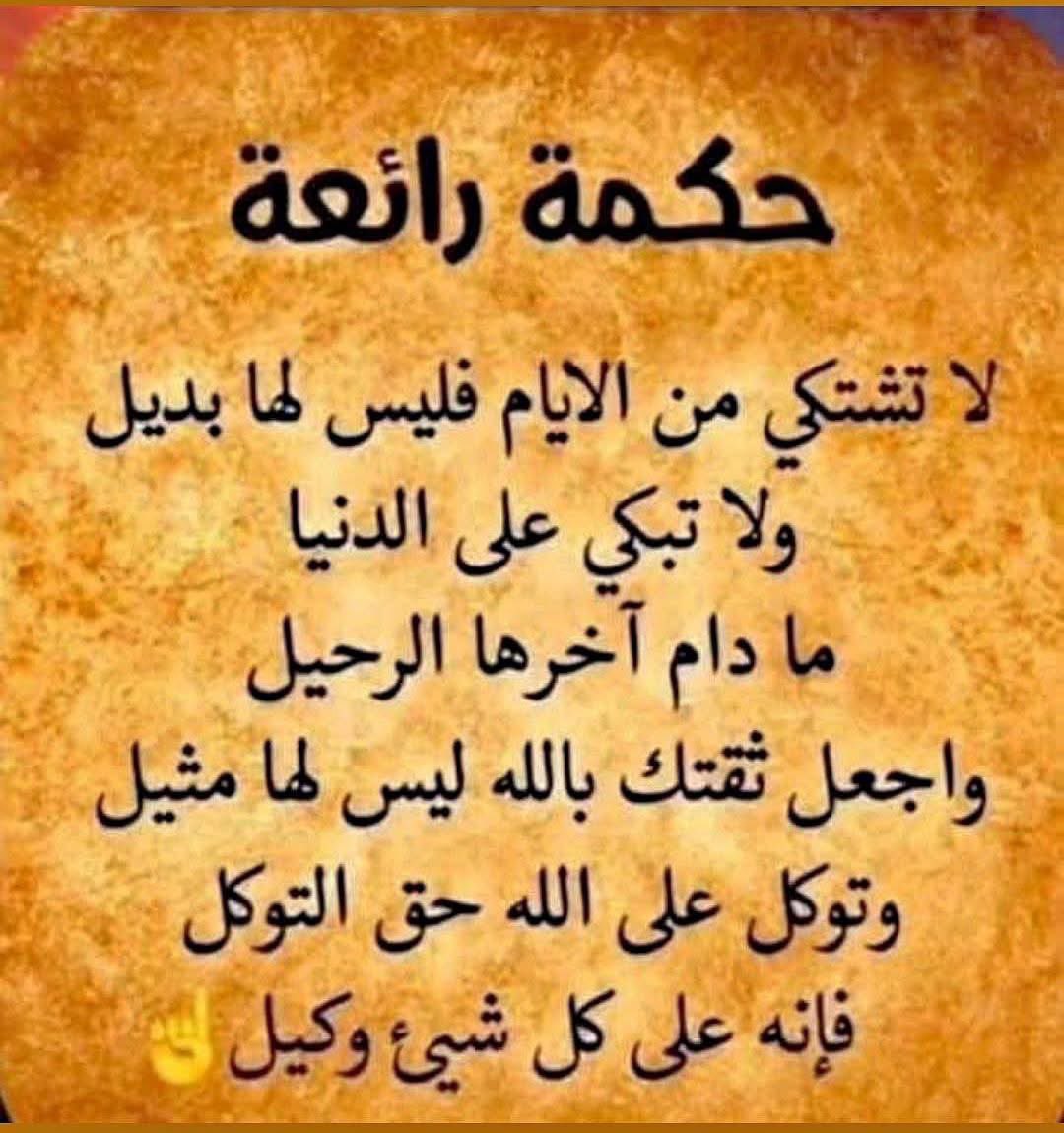 akiluno_a's tweet photo. حكمة اليوم https://t.co/W7HfCcU0NK