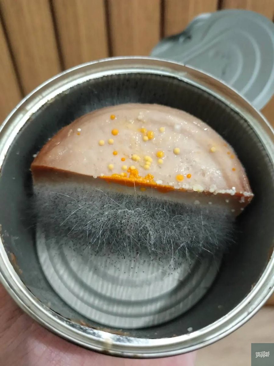 yappingbase's tweet photo. yap! kalo kayak gini masih bisa dimakan ga yah 😔 https://t.co/B6pzqX5VtT