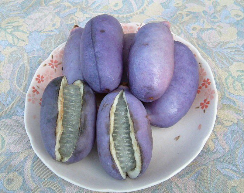 kaogo55's tweet photo. 久しぶりに実家帰ったらこれ出された。なんですか。これは https://t.co/nKMKbOp6do