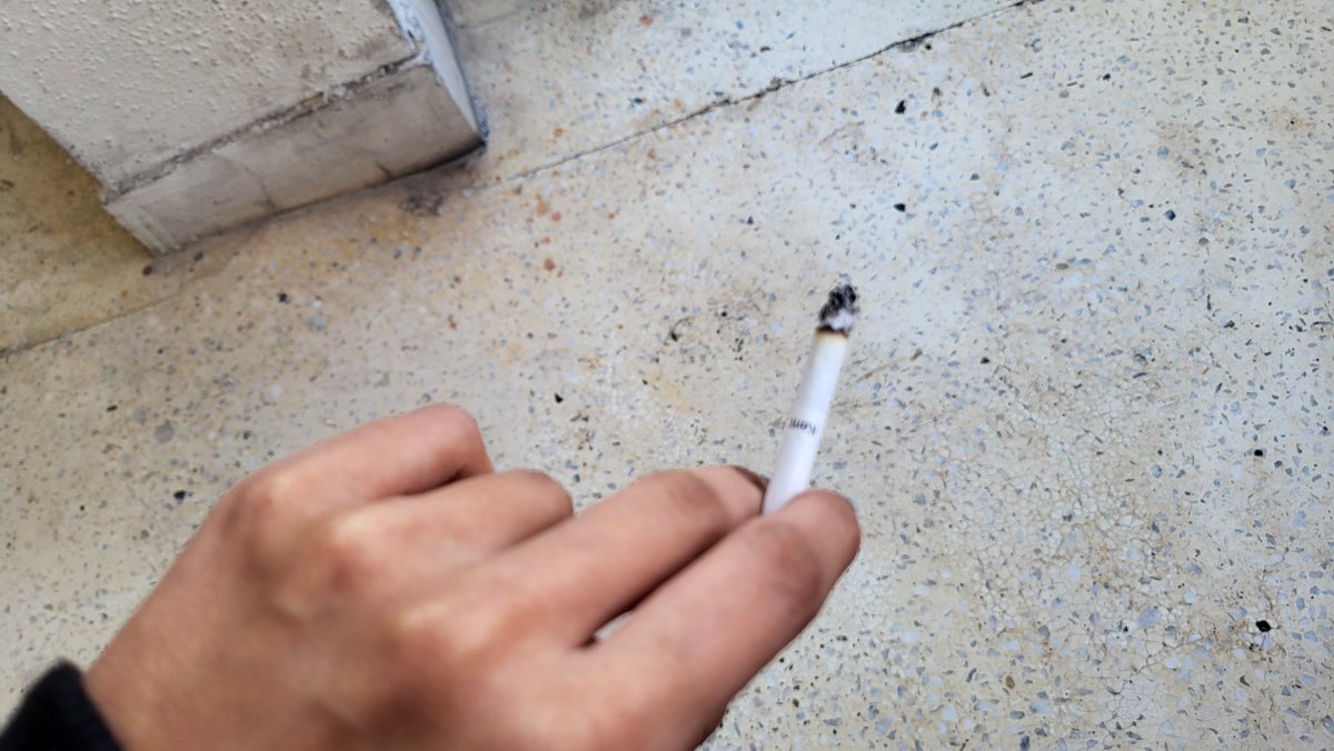 wkmvl's tweet photo. morning https://t.co/dZqN9RwaCN