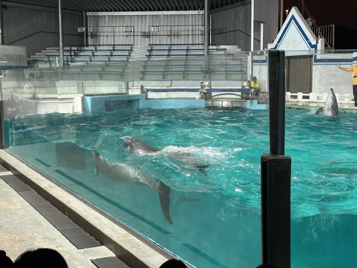 FilterYumyum's tweet photo. 水族館 https://t.co/bHMdvYDAtr