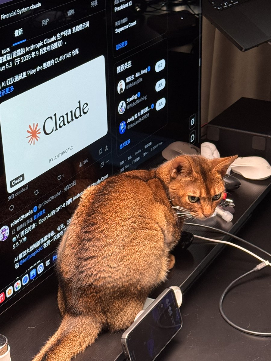 serge_ai_lab's tweet photo. 今日猫片～ https://t.co/pELMqEwkOv