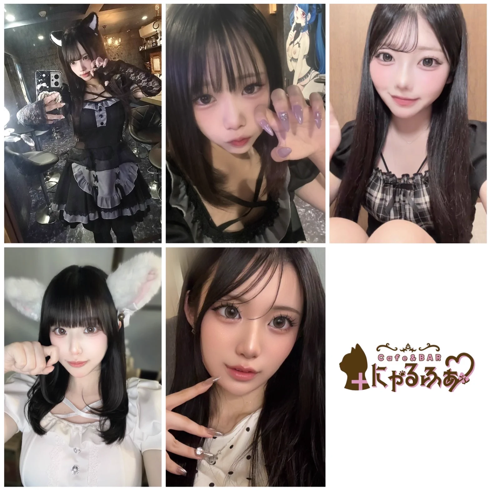 Cafe＆BAR【＋にゃるふぁ】 on X: 