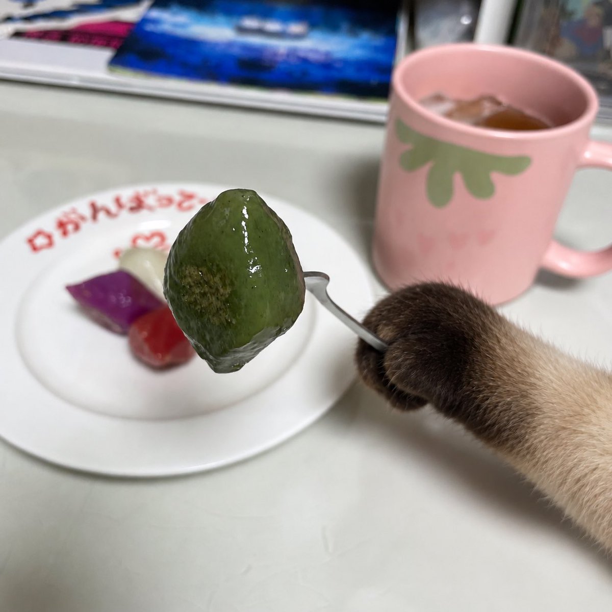 An_0_K's tweet photo. 다들 명절 음식 맛있게 드셨나용?!! 저는 사실 송편 구워먹는 걸 좋아해요… 히히 마히다..😋
한입 드셔보셔용 https://t.co/wI6akvF0YP