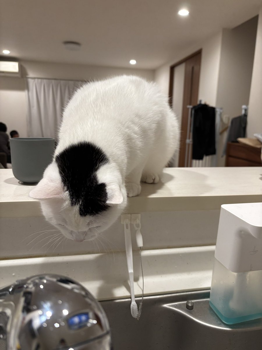 takeru0321neko's tweet photo. 皿洗い習得中 https://t.co/rViTfTKoFG