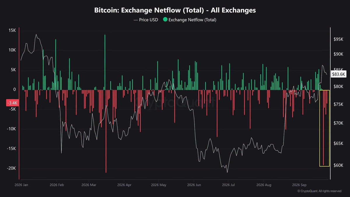 NoctisCrypto's tweet photo. 🚨 2,7 MILLIARDS de dollars en #Bitcoin ont été retirés des plateformes d’échange en seulement 4 jours !

Autrement dit, une quantité importante de $BTC  quitte les exchanges pour être stockée ailleurs, souvent dans une logique de conservation à plus long terme plutôt que de vente immédiate.

Les baleines accumulent massivement du $BTC 🐋 tandis que l’offre disponible sur les exchanges continue de diminuer.

Si la demande s’accélère alors que l’offre disponible se raréfie, cela pourrait créer une forte pression acheteuse et alimenter le prochain mouvement majeur. 🔥

Les 100 000 $ pourraient n’être que le début. Prochain gros objectif : 250 000 $. 🚀

Quand le véritable FOMO commencera, il pourrait ne plus rester suffisamment de #Bitcoin disponible sur les plateformes d’échange pour répondre à la demande. #ChocSupply