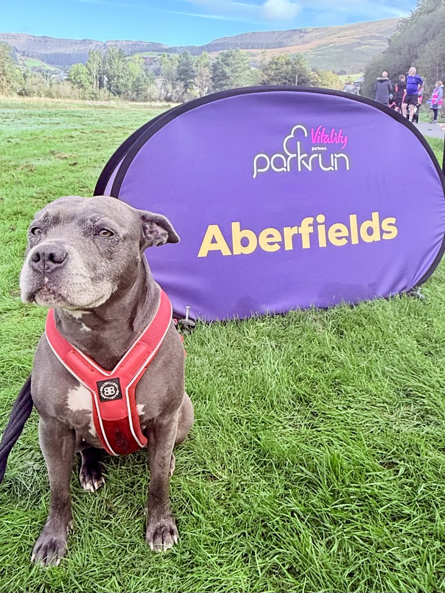 IsaMary2021's tweet photo. I ran 5km (3 miles) at beautiful #Aberfieldsparkrun this morning, and I didn’t even break a sweat 😅❤️❤️🐾🐾
#IsaMary #parkrun #SuperDog #SuperFast https://t.co/WjNqoMBqQO