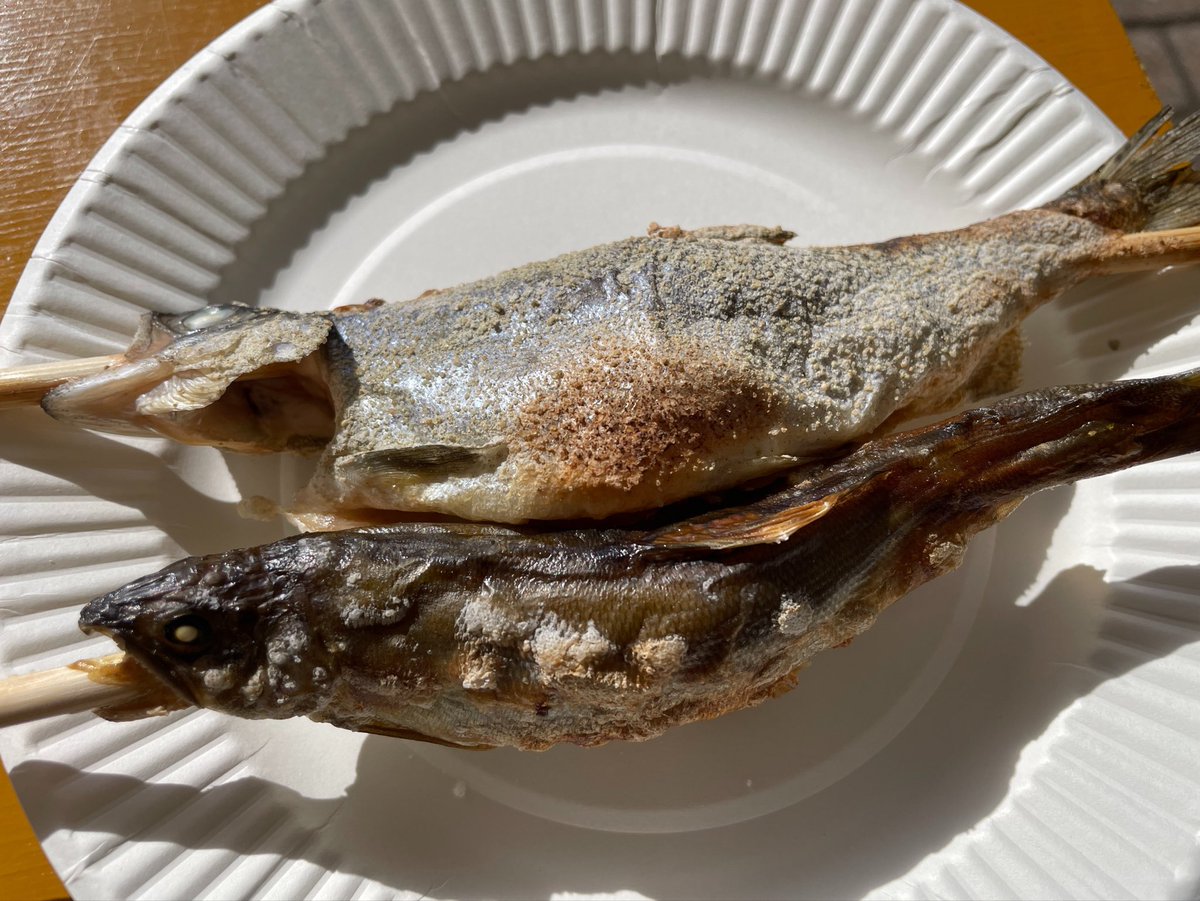 guhehehompodasu's tweet photo. オータムフェストで食べたヒメマスと鮎なんだけど、2匹とも美味いし特にこのヒメマスが異次元レベルに美味い

何が異次元かって現地で食べて確かめて欲しいんだけどさ、こんな凄まじく美味い魚を道民はいつも食べてるらしい

北海道に嫉妬するわ https://t.co/c4hacGggRy