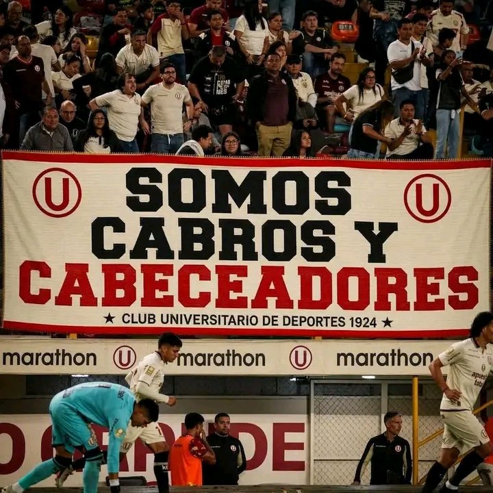 tonilwem's tweet photo. @Universitario https://t.co/z36yUE8IaM