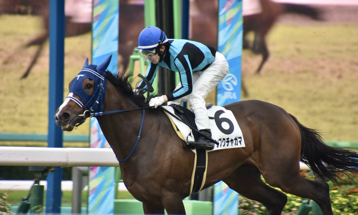 mare_amber77's tweet photo. 2026/9/26 中山5R
ブンブクチャガマ
上毛かるたシリーズ！客席見ながら走ってたわね🥰 https://t.co/qECXFxYgoy