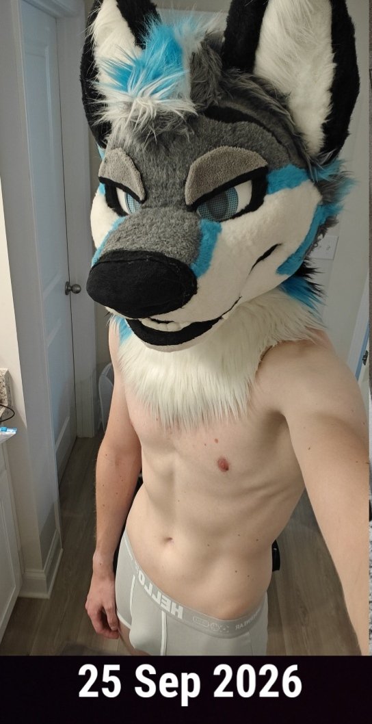 KnoxTheWolf's tweet photo. Making some progress :3 https://t.co/QlAw8GpoTI
