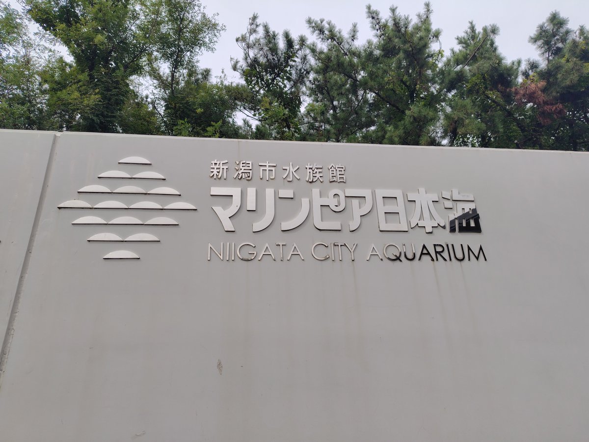 mj4P9O1DnJJ6XsT's tweet photo. 今日の歩歴
今日は新潟市の中心部、そしてマリンピア日本海に到着しました。
昨日の寺泊水族館に続いての水族館巡り。まだ先の長い旅路ではありますが、つかの間のひとときを過ごし明日への英気を養うことができました。

今日も一日ありがとうございました！
それではこの辺で…ほなおやすみなさい。 https://t.co/dLeKDQ9Q0k