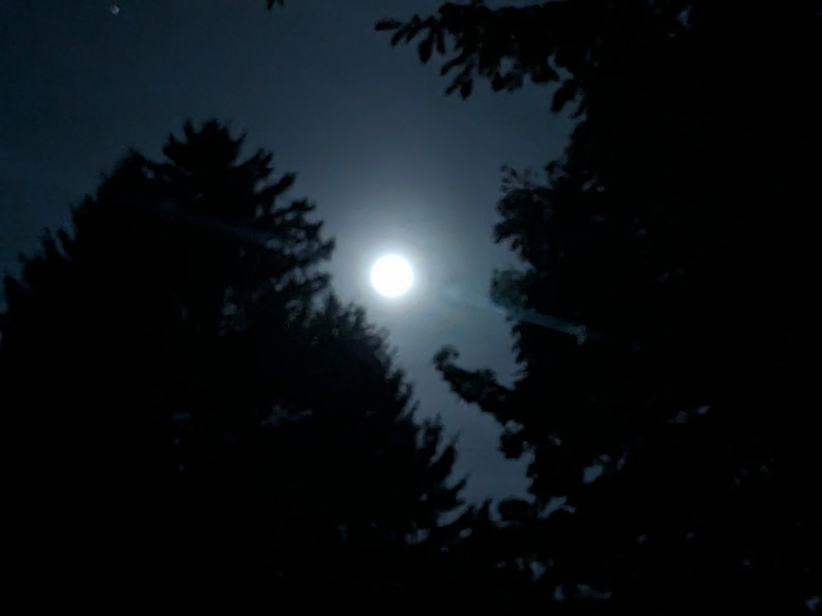 SkiRunLift's tweet photo. Full moon run! Bright & Beautiful and full of twinkly stars. Chilly but refreshing & nice. Enjoyed! Recommend 10/10 β
Legs were a bit tired after a mile. I survived!
#4amRunClub #fullmoon #runner https://t.co/0xUB8HDUwy