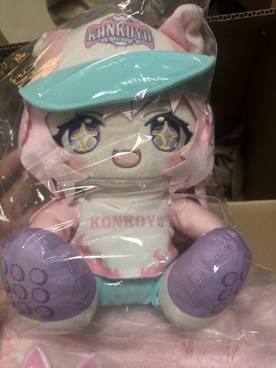 SYADOUgekko's tweet photo. 届いた〜♪
ぬいのお目目キラキラで可愛い
 #こより届いたよ https://t.co/mAilagIUKH