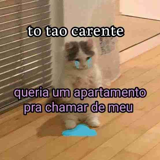 acervobichinho's tweet photo. https://t.co/w8rtSTraAf