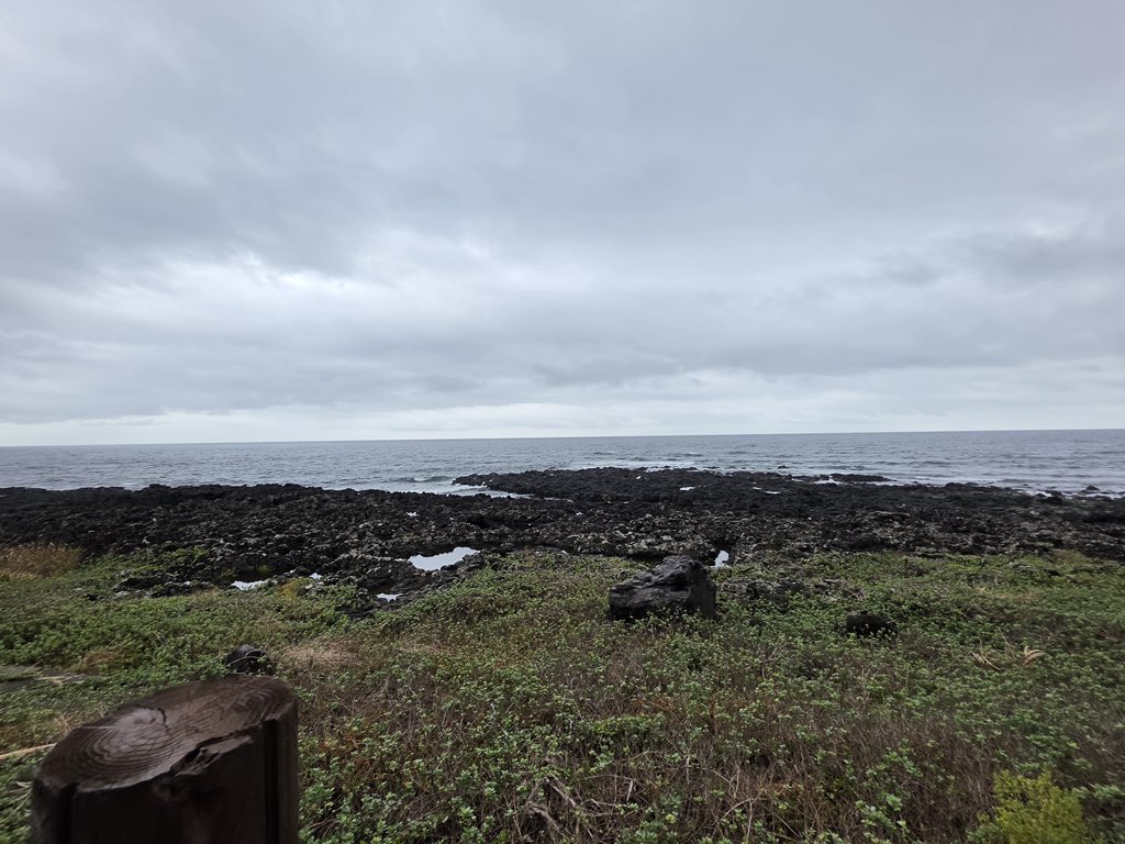NewBeat_twt's tweet photo. [#전여여정]

☁️🏝 https://t.co/Lm3oKLBItJ