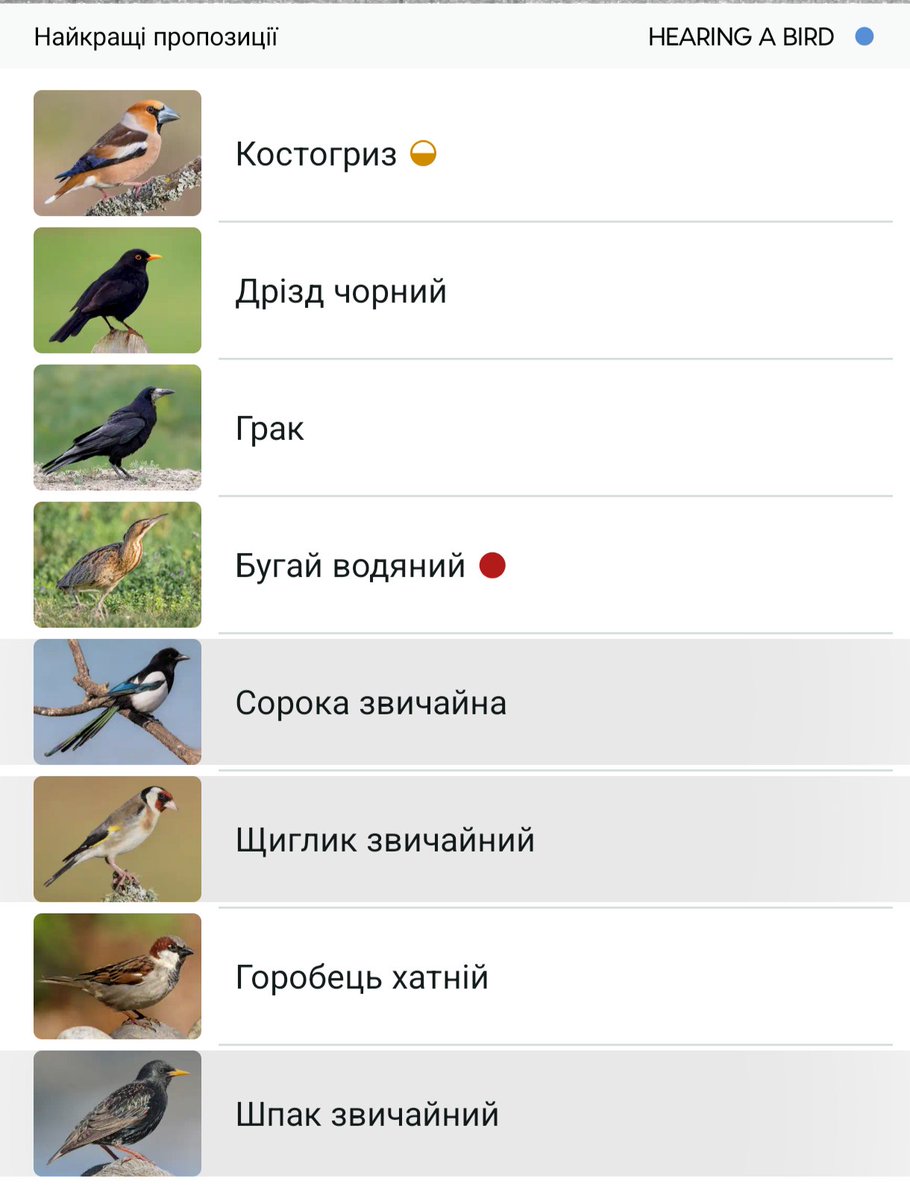 Vaskha's tweet photo. Вішаю білизну на балконі майже в центрі міста) 🐦 https://t.co/ZlHKmoGPPO