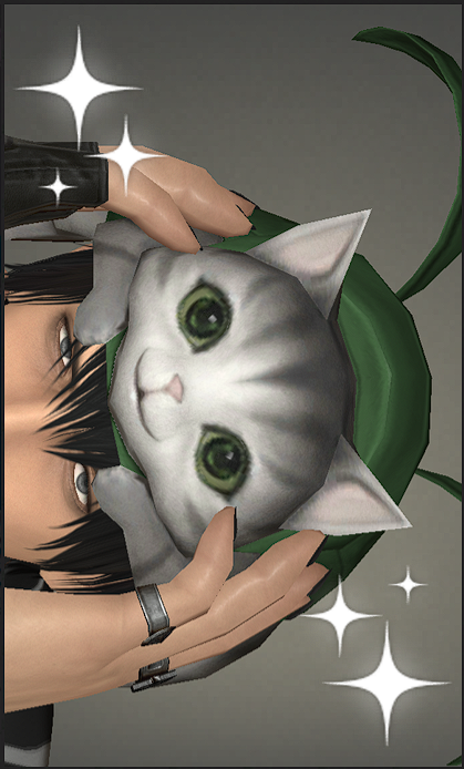 vomiteater666's tweet photo. cat portrait https://t.co/t8ETkR7yzx