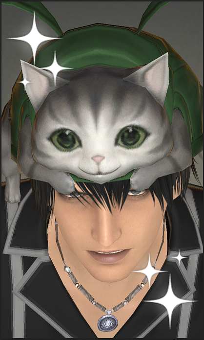 vomiteater666's tweet photo. cat portrait https://t.co/t8ETkR7yzx