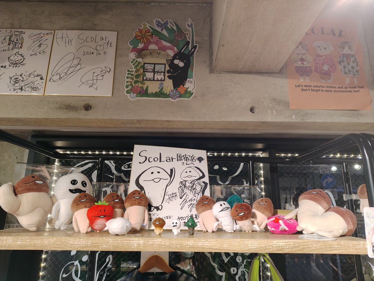 n0nameco's tweet photo. 間に合った~
#ScoLar #スカラー原宿店 #なめこ https://t.co/OMjzMrXU7Y
