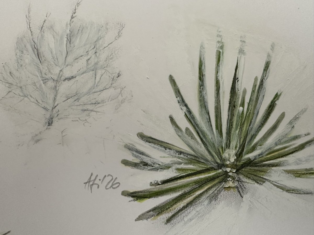 FischerA_FR's tweet photo. Tag 24 &amp; 26 #SciArtSeptember

#down #cedar

#SciArt 
#KleineKunstklasse #graphite #pencils #pastels #marker #watercolors #expressive #mixedmedia #artChallenge https://t.co/oLBQcjPbaG