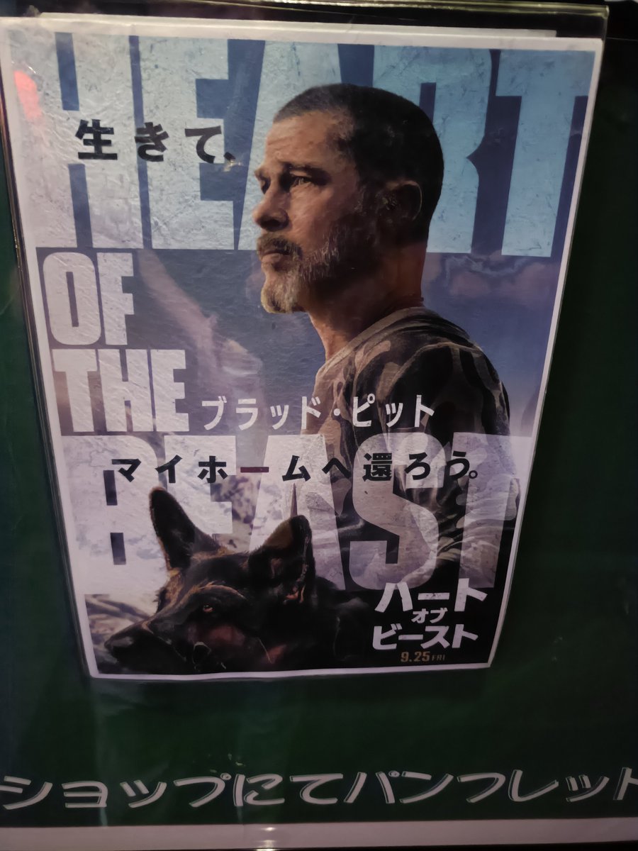 kunikoA's tweet photo. 見た！
犬とブラピのバックボーン的なものは基本的に途中に断片的に出るだけで内容としてはいたってシンプルなサバイバル。
窮地慣れしたサバイバル技術見せつつ進んでいく���人に寄り添う犬・オーディンの見つめる眼差しがたまりませんな。
で最後に。。。
全ての軍用犬に幸あれ
#ハートオブビースト https://t.co/l8anKKj5Om